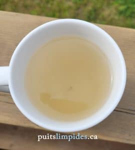 Eau trouble et colorée par la boue de fer contenue dans le puits