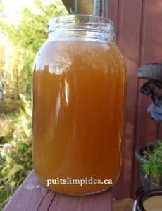 Eau trouble par la boue d'oxydation contenue dans l'eau de ce puits artésien