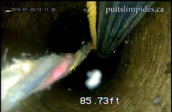 Malgré que l'eau de ce puits artésien soit très claire, j'attire votre attention sur le dépot visqueux visible sur les fils. Cette matière est le biofilm produit par les colonies bactériennes.