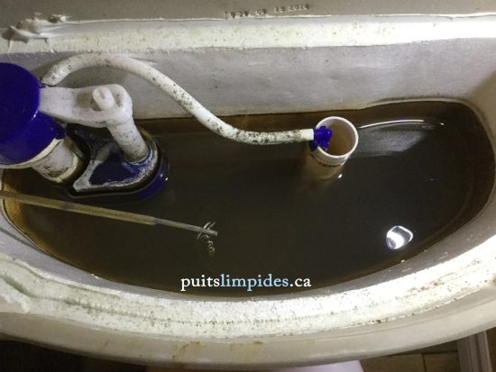 Une grande quantité d'argile brune envahissait ce puits artésien devenu inutilisable.