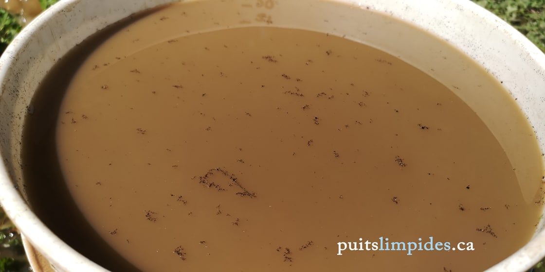 Insectes retirés du fond d'un puits artésien