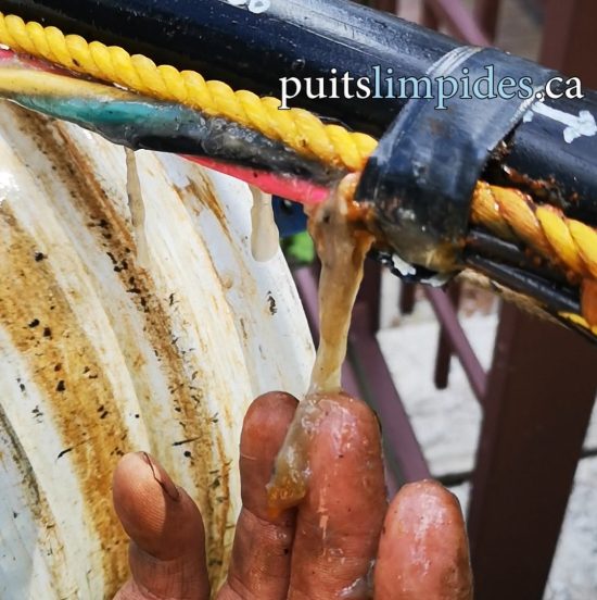 Puits artésien avec une accumulation importante de biofilm bactérien