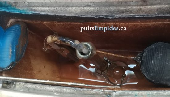 biofilm bactérien dans un réservoir de toilette alimenté par un puits artésien